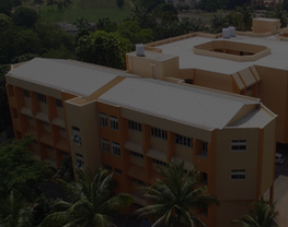 PDVVP Institute of Technology and Engineering (Polytechnic)
