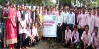 Dayanand Institute of Pharmacy