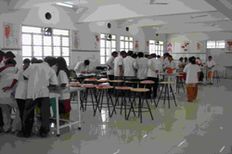 Anatomy Practicals