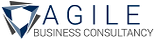 Agile Business Consultancy