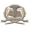 Century International Institute of Dental Science and Research Center Poinachi logo