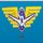 Regional Institute of Aviation