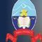 Nar Bahadur Bhandari Degree College logo