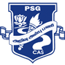 PSG College of Arts and Science