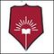 Dr DY Patil College of Architecture logo