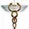 Terna Medical College logo