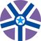 Vignan's Institute of Information Technology - [VIIT] logo