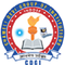 Chameli Devi School of Engineering - [CDSE] logo