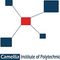Camellia Institute of Polytechnic - [CIP] logo
