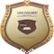 Vidhyadeep Institute of Computer and Information Technology logo