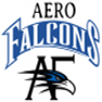 Aerofalcons Aviation Services & Training