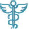 Kohinoor Institute of Pharmacy logo