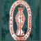 Shri. K. R. Pandav Institute of Pharmacy logo