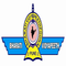 Bharati Vidyapeeth College of Engineering - [BVCOE] Navi Mumbai logo
