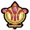 Sagar Institute of Research & Technology -  Pharmacy [SIRTP] logo