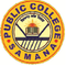Public College Samana logo