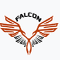 Falcon Institute of Aircraft Maintenance Engineers - [FIAME] logo
