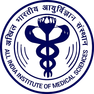 INI CET logo