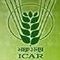 National Research Centre Seed Spices logo